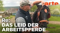 Ein Hufschmied lindert Tierleid in Rumänien | ARTE Re: