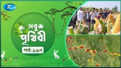 Sobuj Prithibi | সবুজ পৃথিবী | Epi-197 | Natural China | Rtv