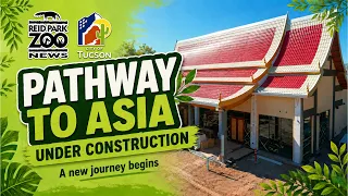 Pathway to Asia Construction Update | Reid Park Zoo News