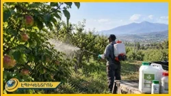 Թունաքիմիկատներ՝ միրգ-բանջարեղենի ամեն 2-րդ նմուշում