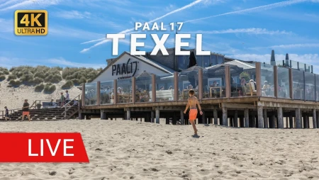 Live Beach at Paal 17 in De Koog, Texel