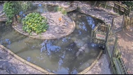 St. Augustine Alligator Farm