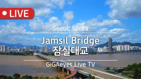 Seoul - Jamsil Bridge - Han River
