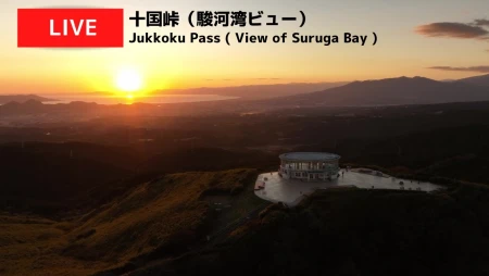 Hakone-Jukkoku Pass - Suruga Bay View